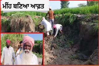 CROP WASHED AWAY IN RAIN WATER