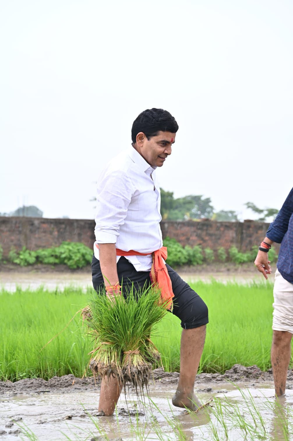 Minister Tankaram Verma planting saplings