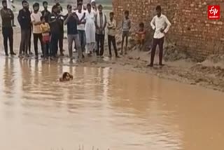 Etv Bharat