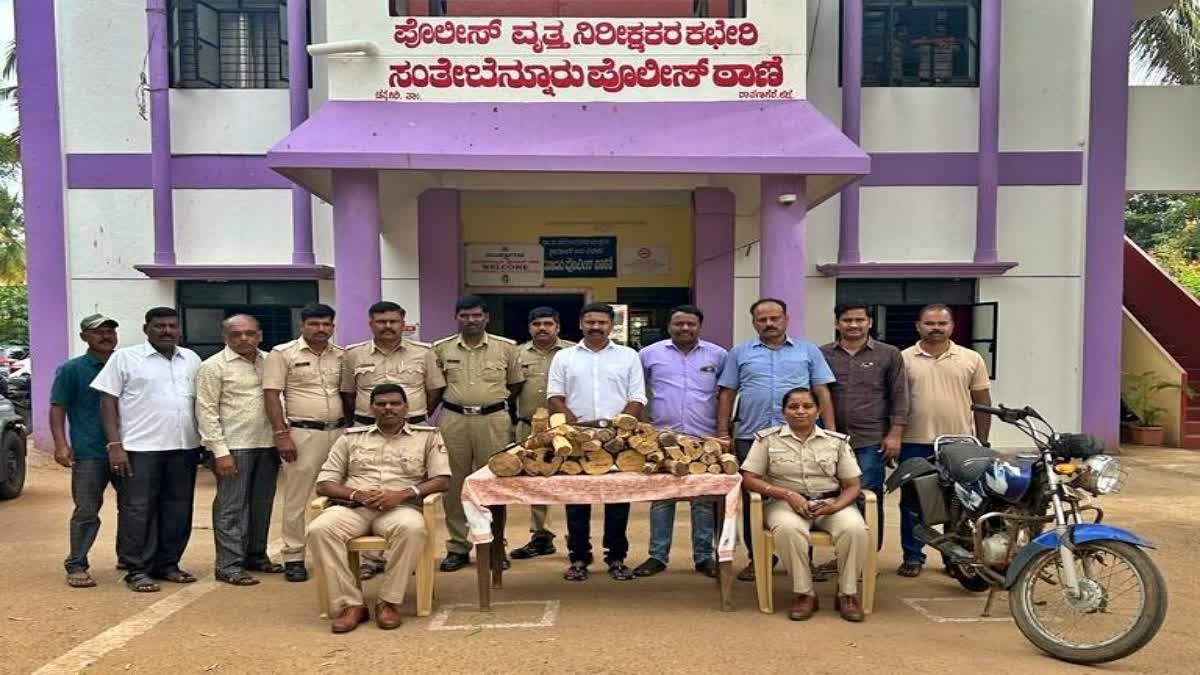 Arrest of sandalwood thieves in davanagere