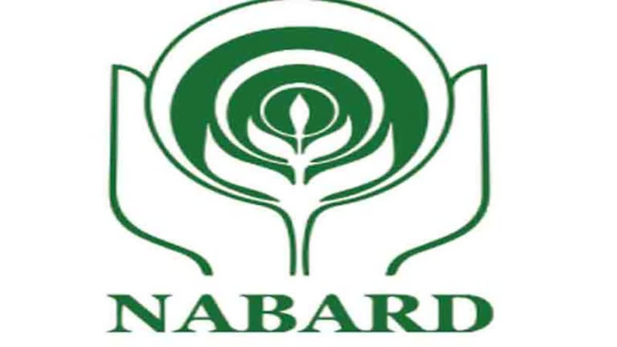 Nabard Invited application From degree holders for assistant manager post