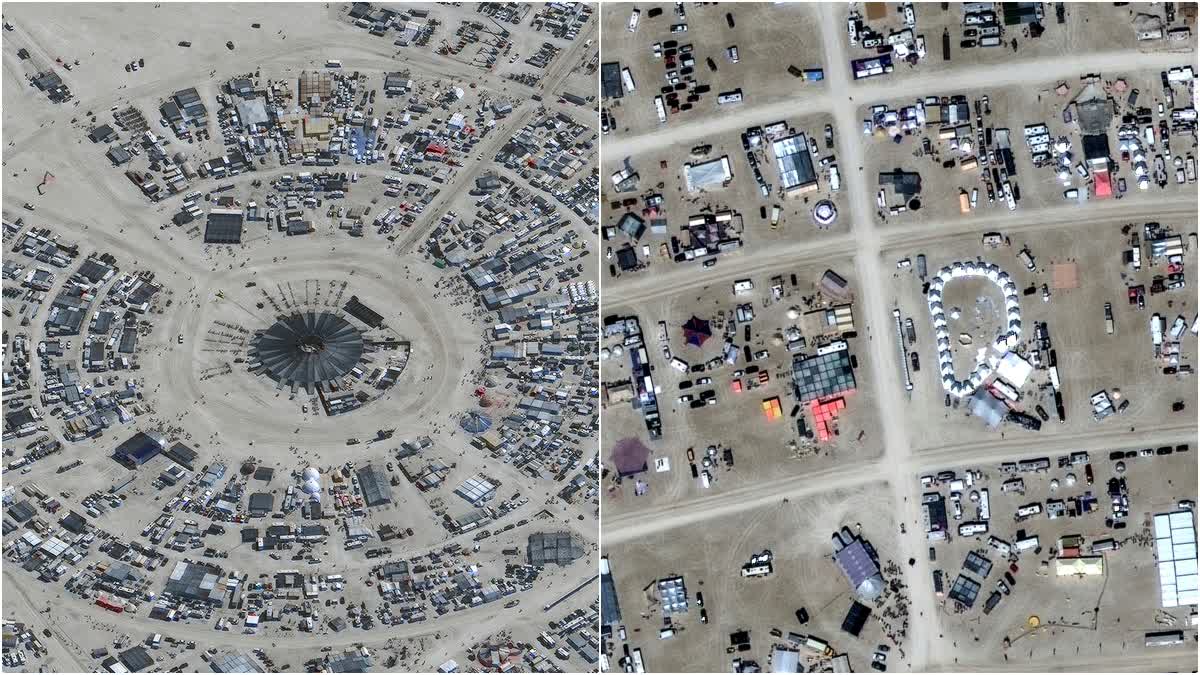 Burning Man Festival News