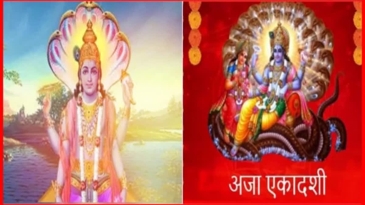 Importance Of Aja Ekadashi