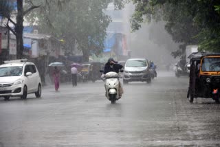 Kerala Rain Updates  Kerala rains  Kerala Rain  weather updates Kerala  സംസ്ഥാനത്ത് വരും ദിവസങ്ങളില്‍ മഴ ശക്തമാകും  യെല്ലോ അലര്‍ട്ട്  yellow alert districts  ശക്തമായ മഴയ്ക്ക് സാധ്യത  മഴ മുന്നറിയിപ്പ്