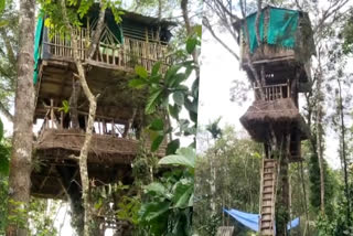 Two Floor Tree House  Two Floor Tree House Kanchiyar  Two Floor Tree House Kanchiyar by Farmer Biju  കാഞ്ചിയാറില്‍ ഒരു ഏറുമാടം  ഏറുമാടം  Tree House  കൗതുകമുണർത്തുന്ന ഏറുമാടം