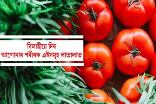 What is the Benefits of Tomatoes for Vitamin C Intake