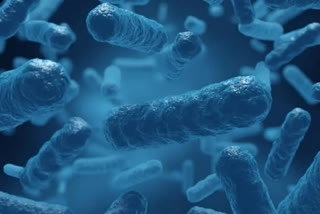 Know how AI is joining the fight against superbugs