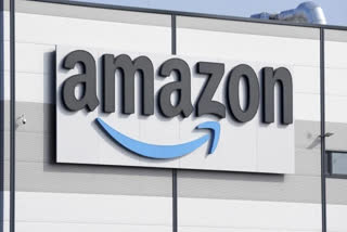 E-commerce major Amazon to invest USD 3 mn in nature-based projects in India