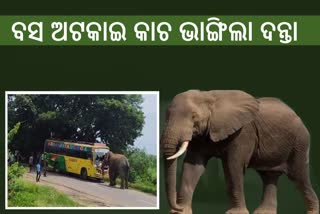 Elephant attack on Vijayadurga bus