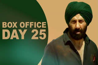 Sunny Deol and Ameersha Patel starrer Gadar 2 took the box office by storm upon its release on August 11 alongside Akshay Kumar starrer OMG 2. Helmed by Anil Sharma, the film crossed Rs 500 crore mark at the domestic box office on the 24th day of its release. After witnessing a growth of 36.36% on Sunday, Gadar 2 box office collection, however, declined by 61.5% on day 25.