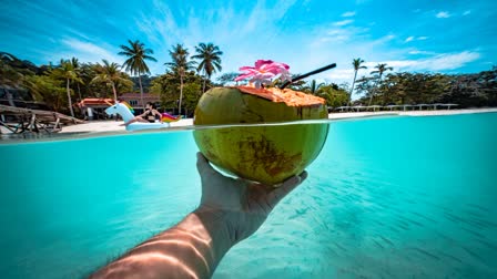 Coconut for hair