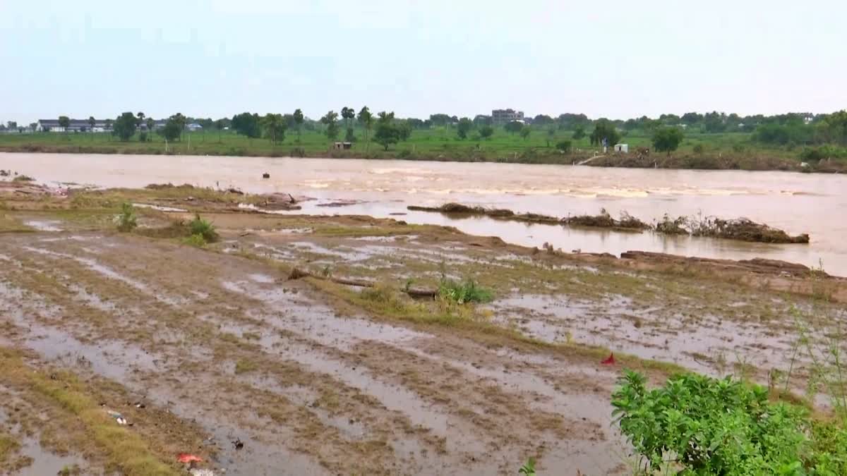 Flood Effect To Nizamabad Crops