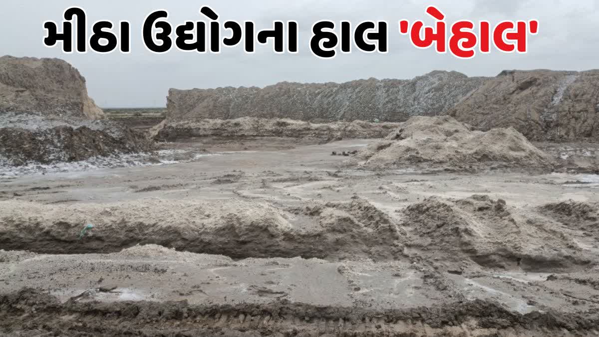 મચ્છુ 3 ડેમનું પાણી મીઠાના અગરો પર ફરી વળ્યું