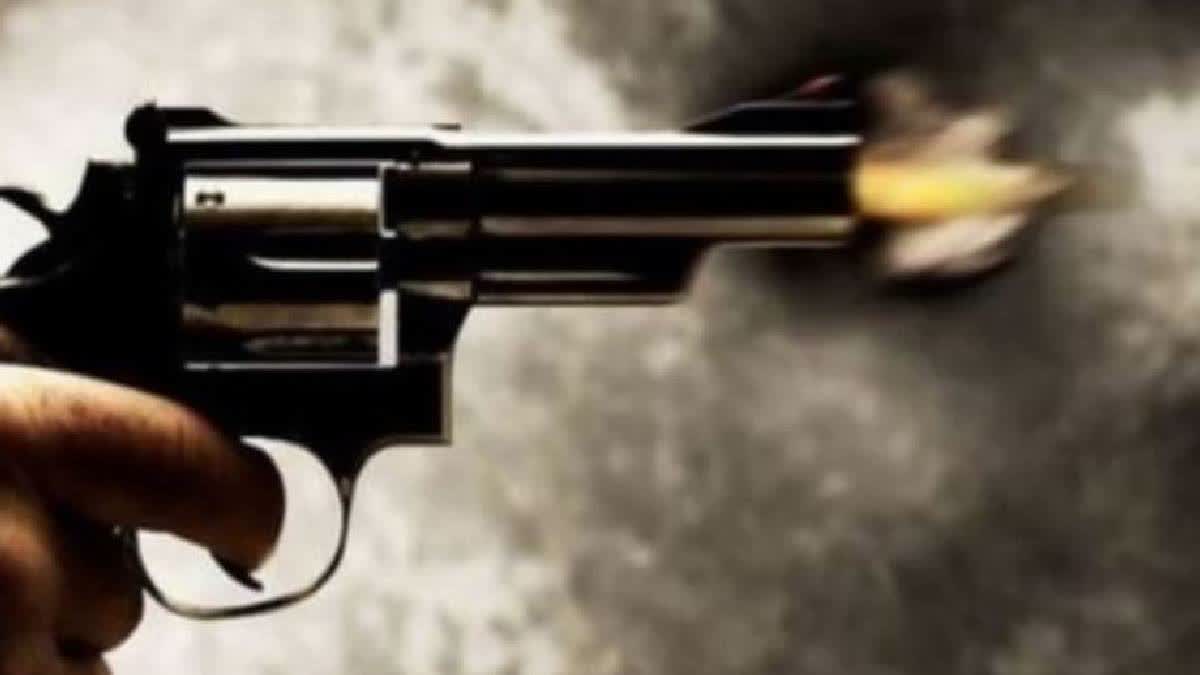 Uttarakhand Man Shoots Pregnant Sister To Death For Marrying Against Family's Wishes