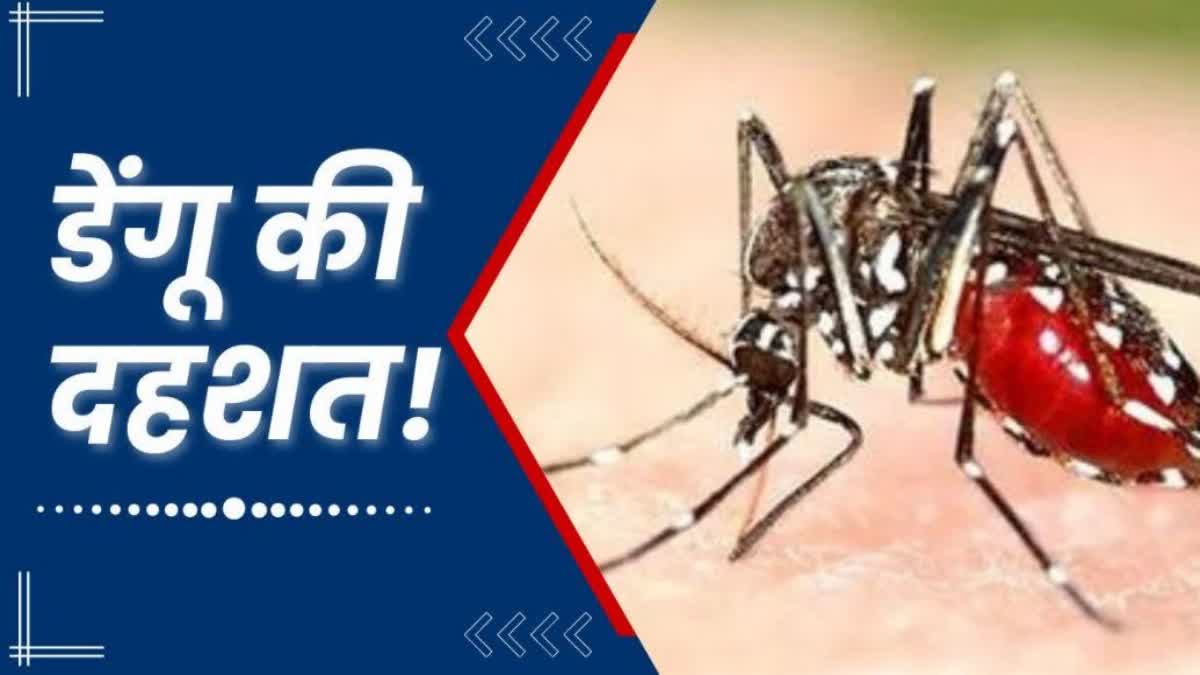 INDORE DENGUE OUTBREAK