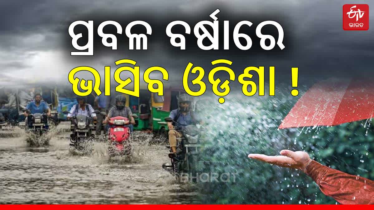 Odisha Heavy Rain Alert: