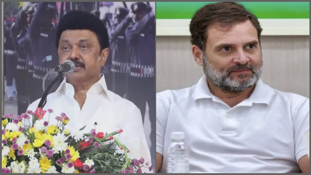 Stalin Cycles Along Chicago Shoreline, Rahul Gandhi Wishes To Cycle Together With CM