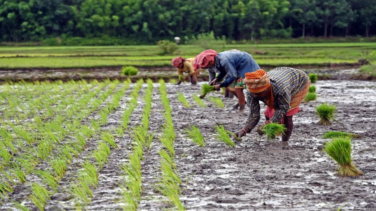 Union Cabinet approves ₹14,000 Crore Package For Agriculture Sector