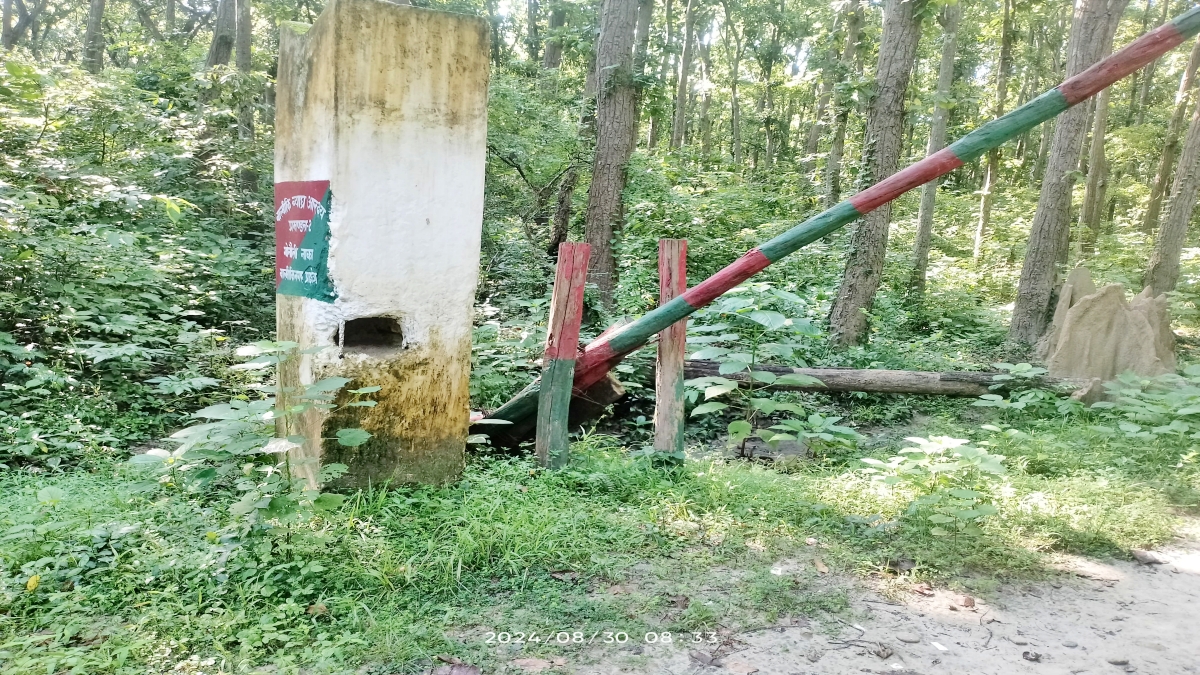 Elephants from Nepal in Bihar