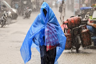 As Telangana braces for severe rainfall on Tuesday, the IMD has issued warnings for multiple districts facing heavy downpours and thunderstorms. The severe weather has led to 35 fatalities across the region and forced thousands into relief camps.