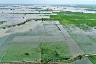 Thousands of Acres Submerged in Water due to Budameru Disaster