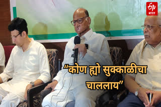 Sharad Pawar News