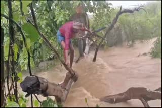 Farmers Facing Problems