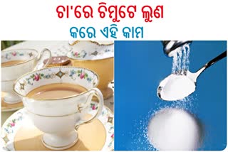 ପ୍ରତିଦିନ ଚା'ରେ ଲୁଣ ପକାଉଛନ୍ତି କି ? ଜାଣନ୍ତୁ କ'ଣ ମିଳେ ଫାଇଦା