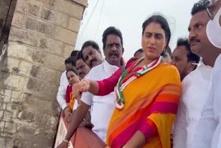 ys_sharmila_visit_to_vijayawada_singh_nagar