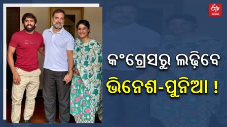 Vinesh Phogat and Bajrang Punia Meets Rahul Gandhi