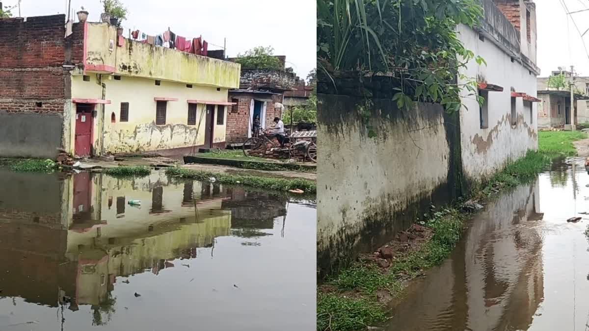 people-troubled-water-logging-jhumritilaiya-municipal-council-area-koderma