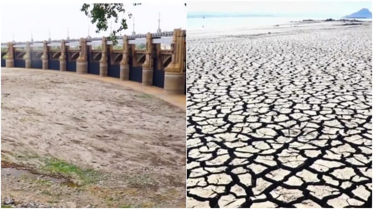 Mettur dam water level down