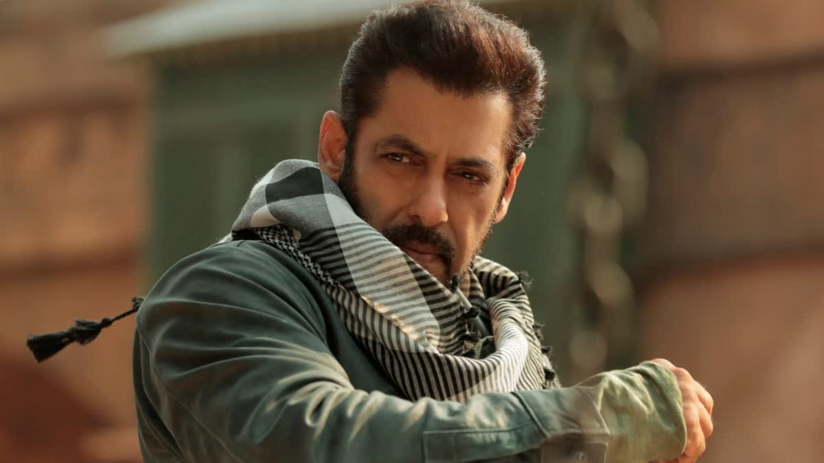 Salman Khan Tiger 3