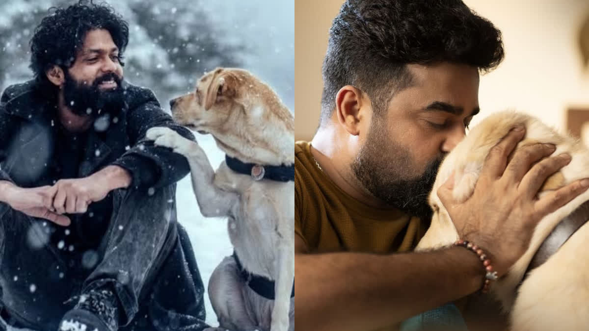 World Animal Welfare Day  വേൾഡ് അനിമൽ വെൽഫെയർ ദിനം  Pet Dogs  Do Not Leave Pet Dogs On Street  October 4  വളർത്തു നായ്‌ക്കളെ തെരുവിൽ ഉപേക്ഷിക്കരുത്  വളർത്തു നായ്‌ക്കൾ  ഒക്‌ടോബർ 4  ലോക മൃഗക്ഷേമ ദിനം