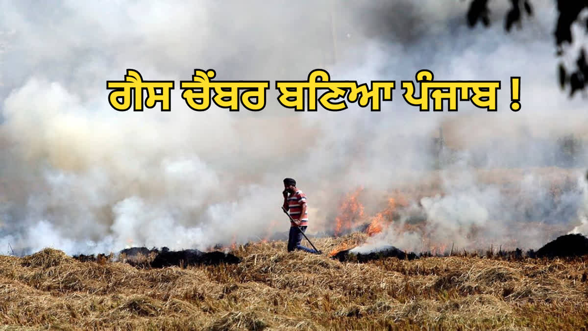 Stubble Burning Cases in Punjab