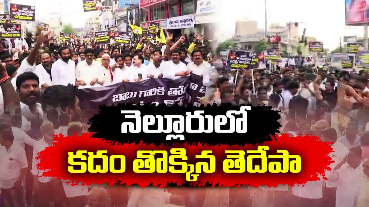 Huge_Rally_in_Nellore_Against_CBN_Arrest