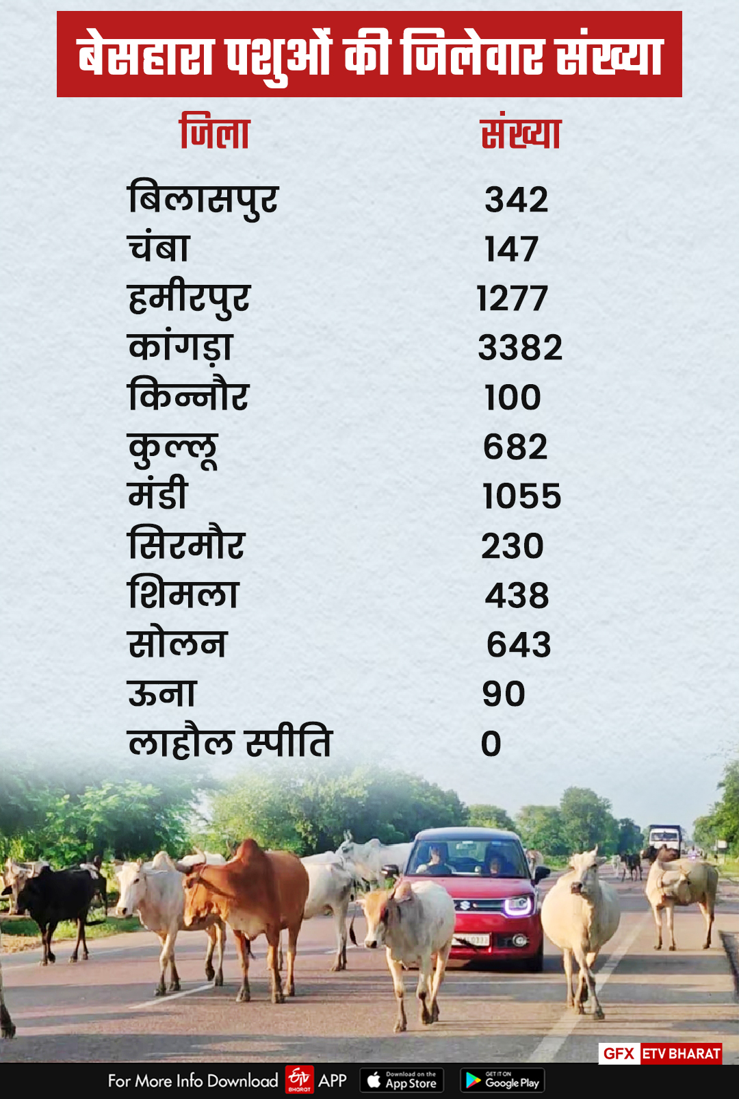 Stray Animals Himachal