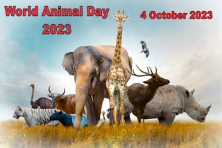 World Animal Day 2023