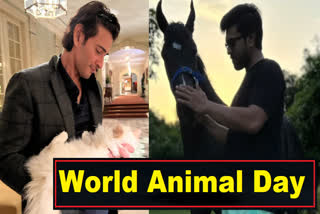 World Animal Day 2023