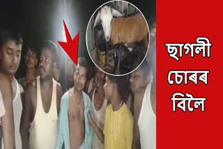 Goat smuggling in Assam