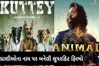 Etv BharatWorld Animal Day 2023