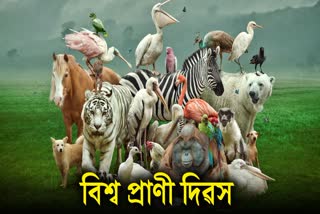 World Animal Day 2023