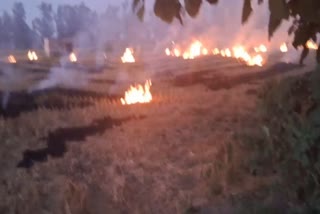 Stubble Burning Cases in Sonipat