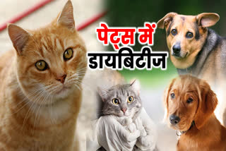 World Animal Day 2023