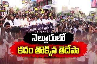 Huge_Rally_in_Nellore_Against_CBN_Arrest