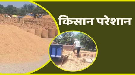 Government procurement of paddy in Haryana