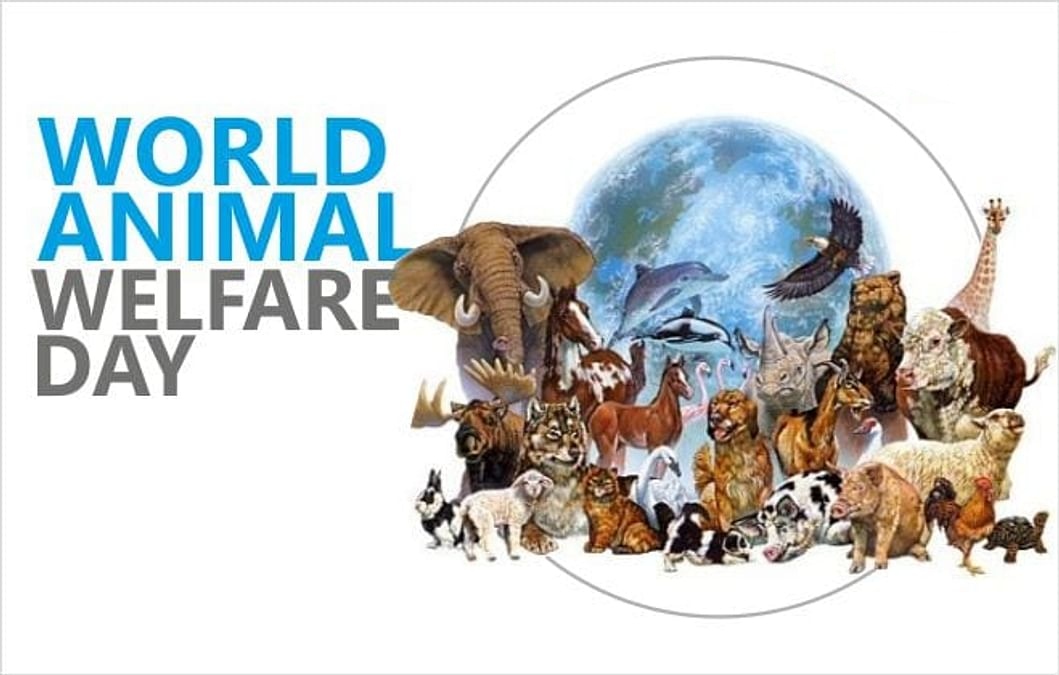 World Animal Day 2023: History And All You Need To Know