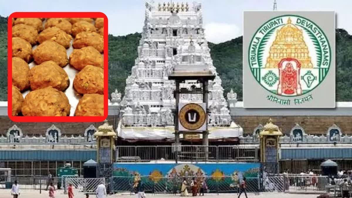 SC On Tirupati Laddu Row