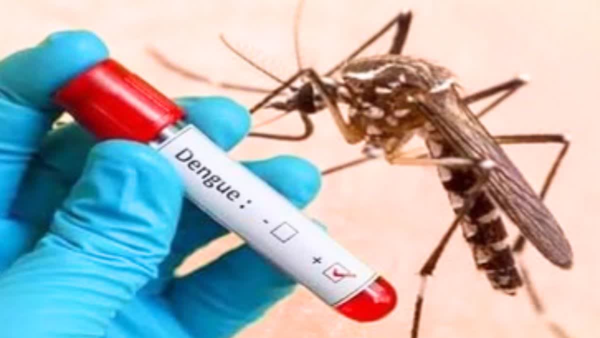 DENGUE THREAT IN RAJASTHAN