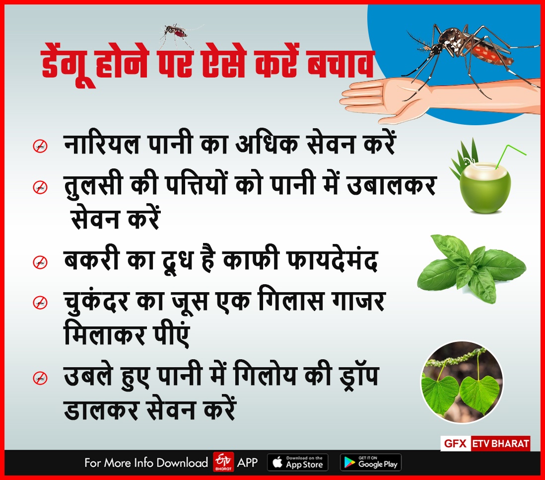 Dengue increased in Haryana